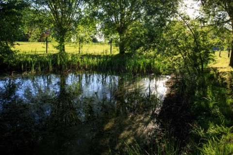 Esquelbecq, Nord