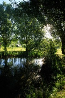 Esquelbecq, Nord