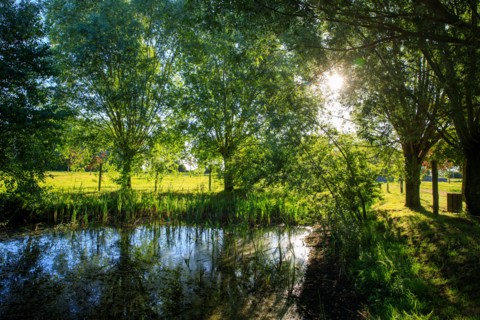 Esquelbecq, Nord