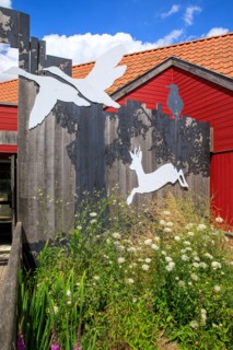 Saint-Omer, Pas-de-Calais