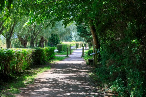 Saint-Omer, Pas-de-Calais