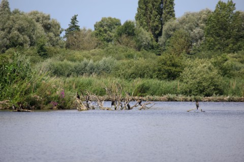 Saint-Omer, Pas-de-Calais