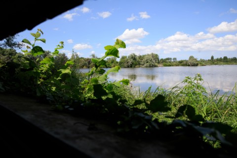 Saint-Omer, Pas-de-Calais