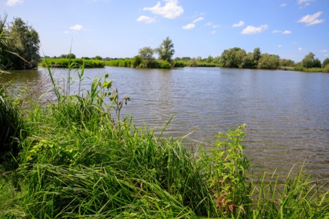 Saint-Omer, Pas-de-Calais
