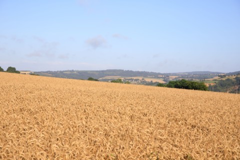 Saint-Rémy-sur-Orne, Calvados
