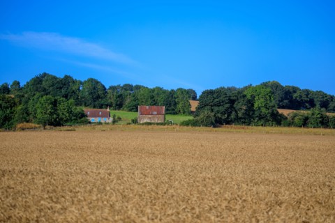 Saint-Rémy-sur-Orne, Calvados