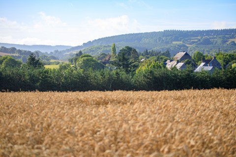 Saint-Rémy-sur-Orne, Calvados