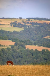 Saint-Omer, Calvados