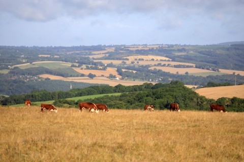 Saint-Omer, Calvados