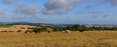 Saint-Omer, Calvados