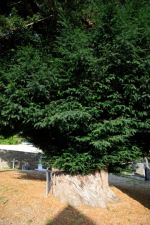 Saint-Rémy-sur-Orne, Calvados