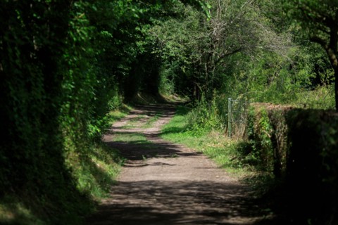 Clécy, Calvados