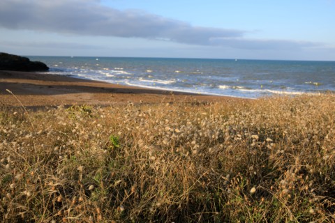 Saint-Hilaire de Riez, Vendée