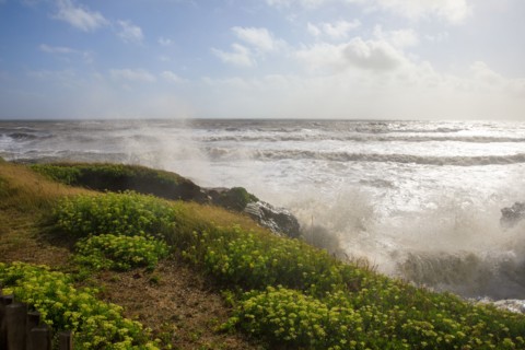 Saint-Hilaire de Riez, Vendée