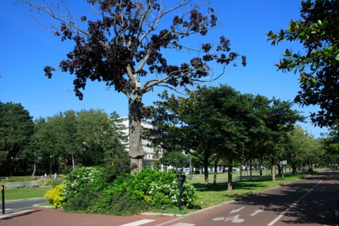Le Havre, Seine-Maritime
