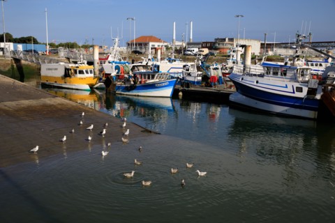 Le Havre, Seine-Maritime