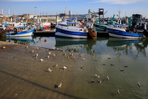Le Havre, Seine-Maritime