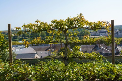 Blois, Loir-et-Cher