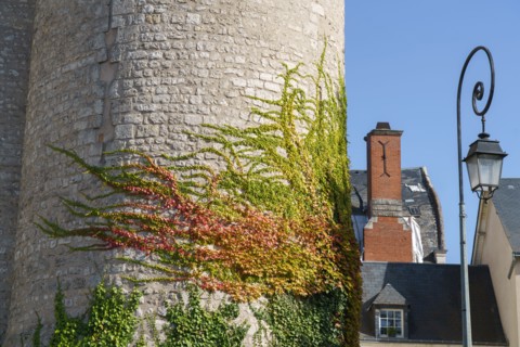 Blois, Loir-et-Cher