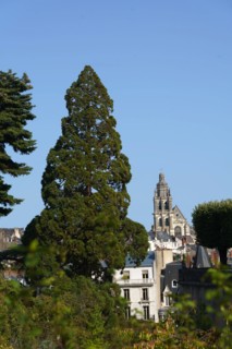 Blois, Loir-et-Cher