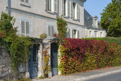 Blois, Loir-et-Cher