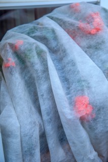 Voile d'hivernage