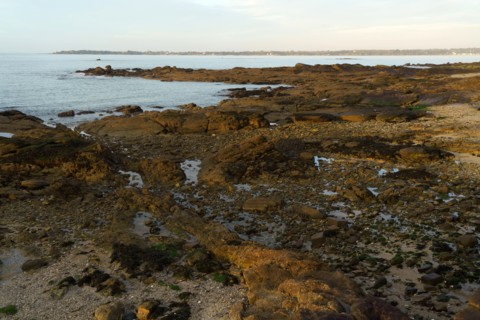 Concarneau, Finistère