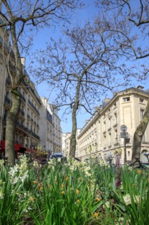 Paris, lieu de tournage de la série "Emily in Paris"