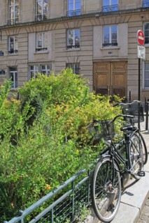 Paris, lieu de tournage de la série "Emily in Paris"