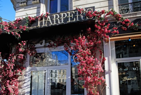 Paris, Harper's café