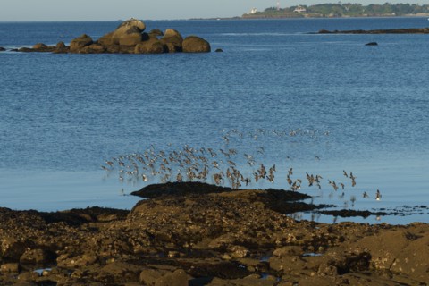 Concarneau, Brittany, France