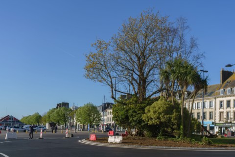 Concarneau, Finistère