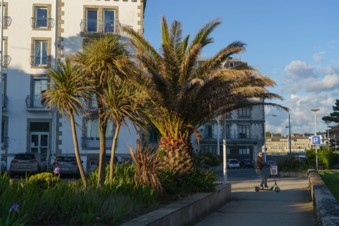 Concarneau, Finistère