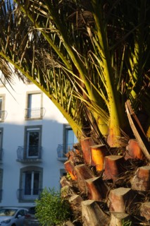 Concarneau, Finistère