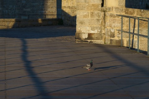 Concarneau, Brittany, France