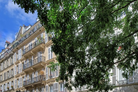 Rue Pavée, Paris
