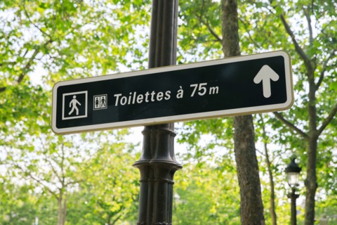 Avenue des Champs Élysées, Paris