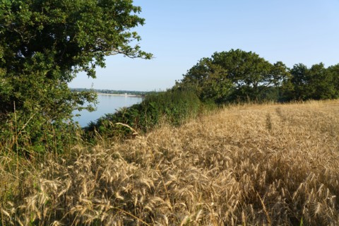Concarneau, Finistère