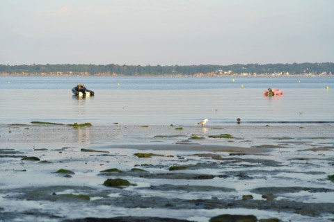 Concarneau, Finistère
