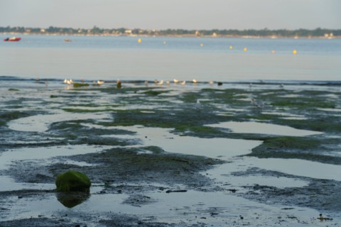 Concarneau, Finistère