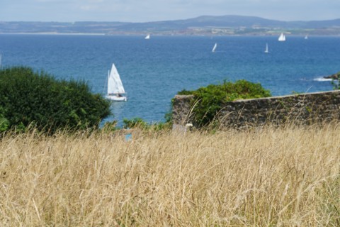 Douarnenez, Finistère