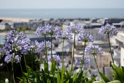 Trouville-sur-Mer, Calvados