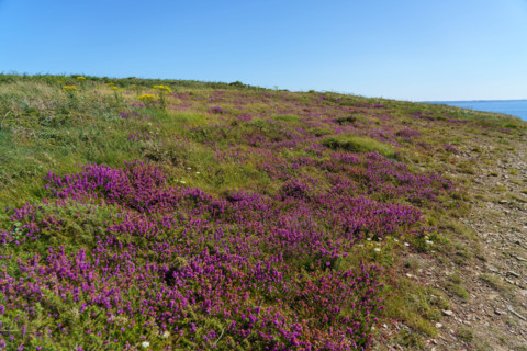 Teldruc-sur-Mer, Finistère