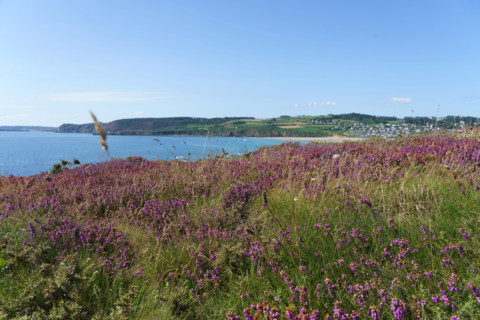 Teldruc-sur-Mer, Finistère