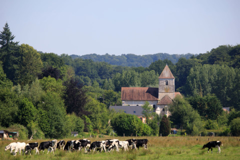 Rives-en-Seine, Seine-Maritime