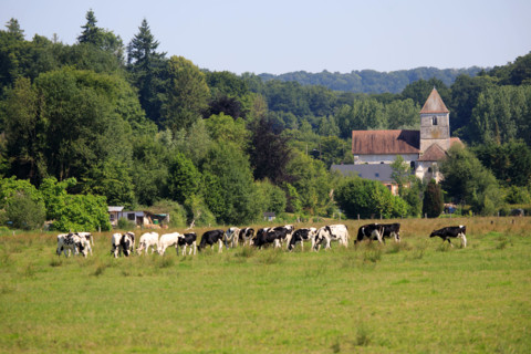 Rives-en-Seine, Seine-Maritime