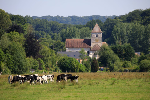Rives-en-Seine, Seine-Maritime