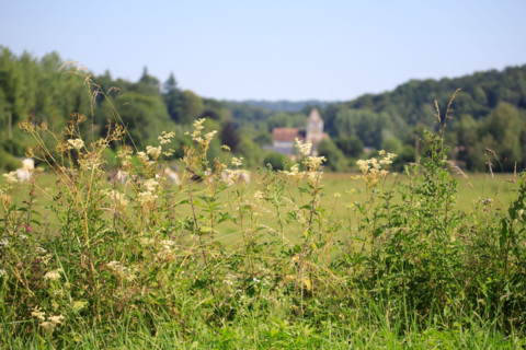 Rives-en-Seine, Seine-Maritime