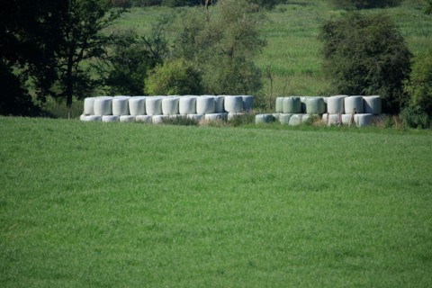 Straw bales in plastic