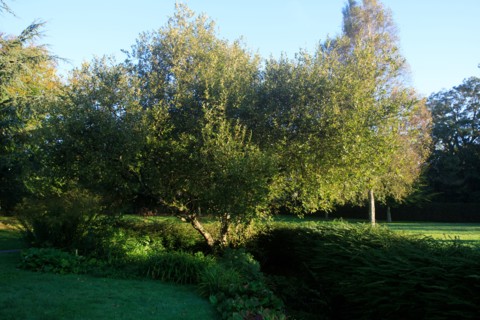Valognes, Manche